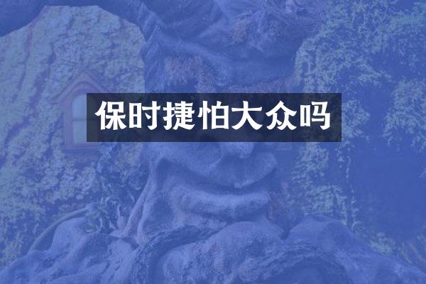 保时捷怕大众吗