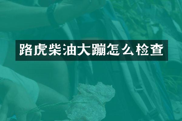 路虎柴油大蹦怎么检查