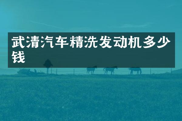 武清汽车精洗发动机多少钱