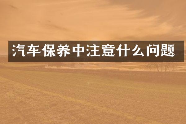 汽车保养中注意什么问题