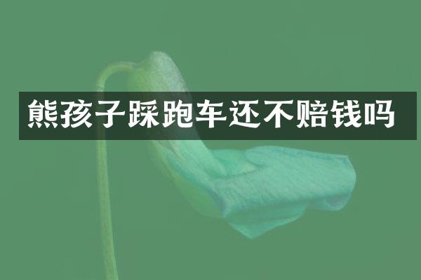 熊孩子踩跑车还不赔钱吗