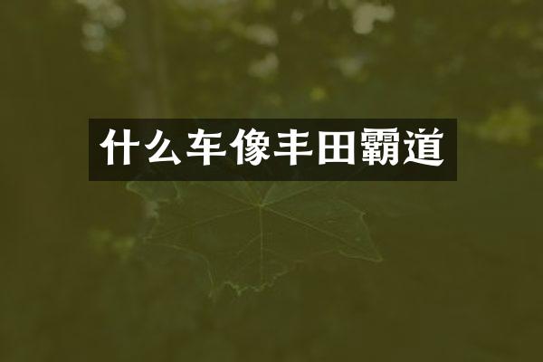 什么车像丰田霸道