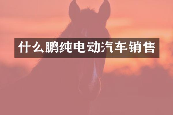 什么鹏纯电动汽车销售