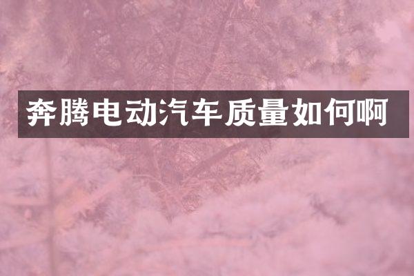 奔腾电动汽车质量如何啊