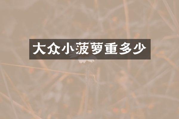 大众小菠萝重多少