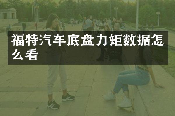 福特汽车底盘力矩数据怎么看