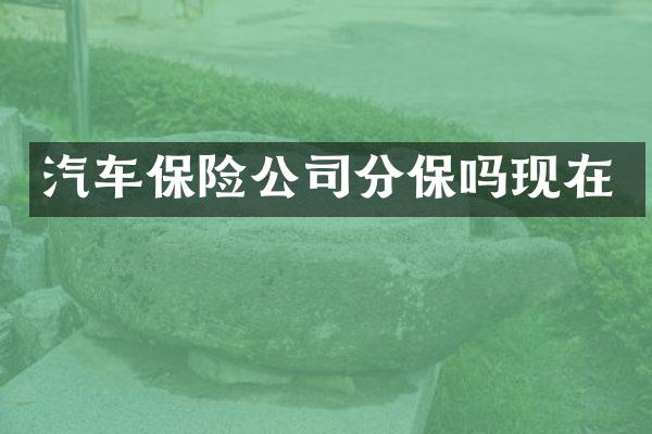 汽车保险公司分保吗现在