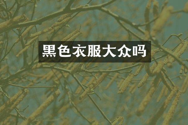 黑色衣服大众吗