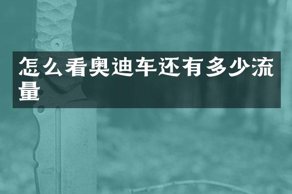 怎么看奥迪车还有多少流量