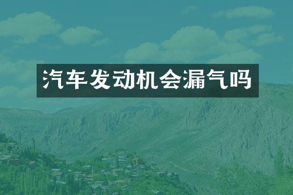 汽车发动机会漏气吗