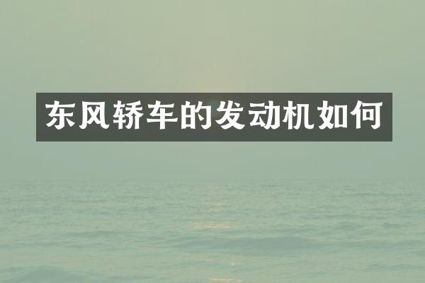 东风轿车的发动机如何