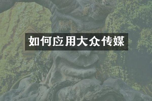 如何应用大众传媒