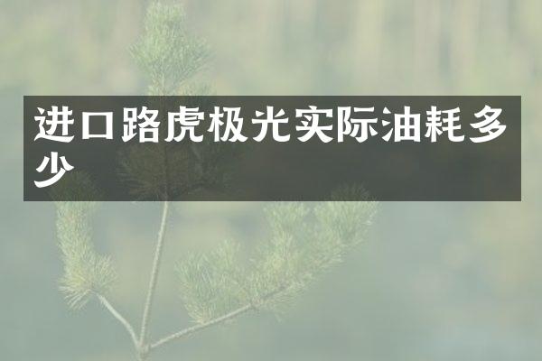 进口路虎极光实际油耗多少