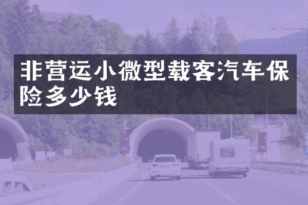 非营运小微型载客汽车保险多少钱