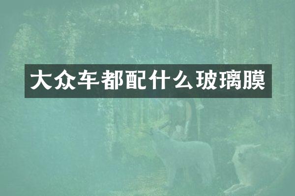 大众车都配什么玻璃膜