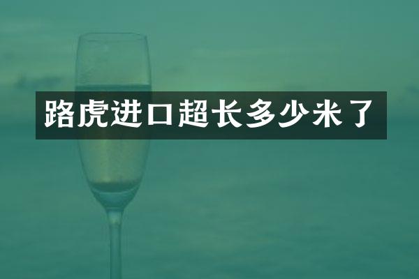 路虎进口超长多少米了