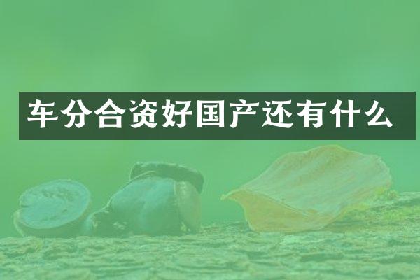 车分合资好国产还有什么