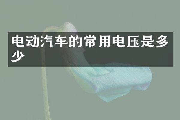 电动汽车的常用电压是多少