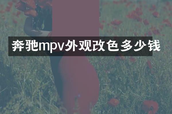 奔驰mpv外观改色多少钱