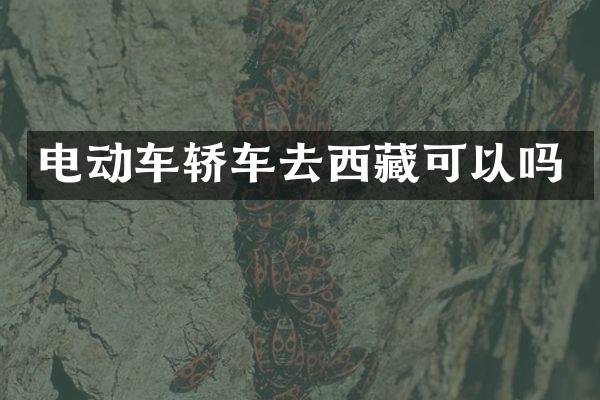 电动车轿车去西藏可以吗