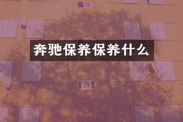 奔驰保养保养什么