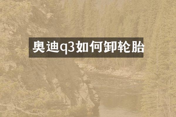 奥迪q3如何卸轮胎