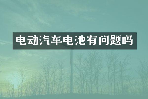 电动汽车电池有问题吗
