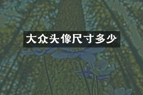 大众头像尺寸多少