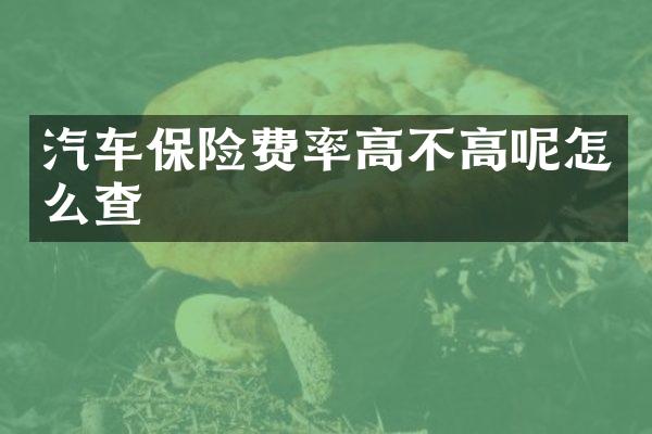 汽车保险费率高不高呢怎么查