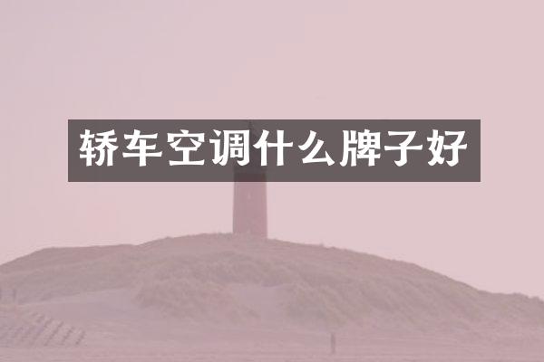 轿车空调什么牌子好