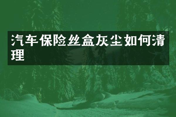 汽车保险丝盒灰尘如何清理