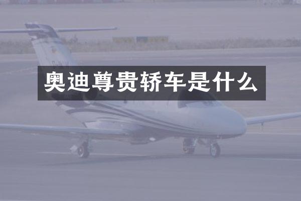 奥迪尊贵轿车是什么
