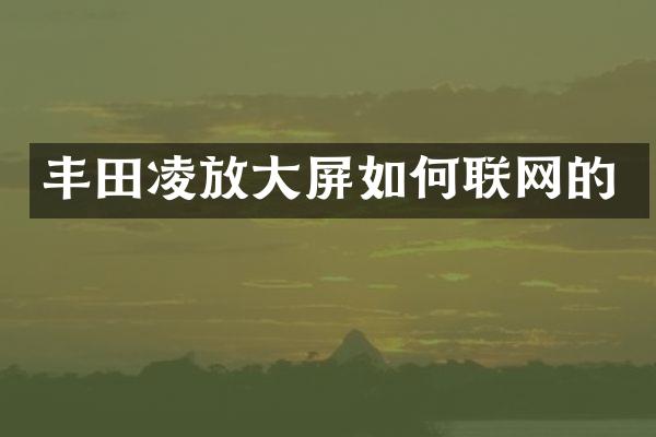丰田凌放大屏如何联网的