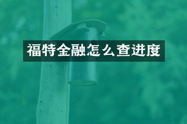 福特金融怎么查进度