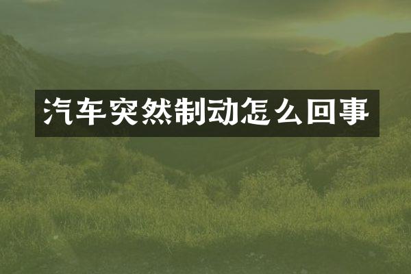 汽车突然制动怎么回事