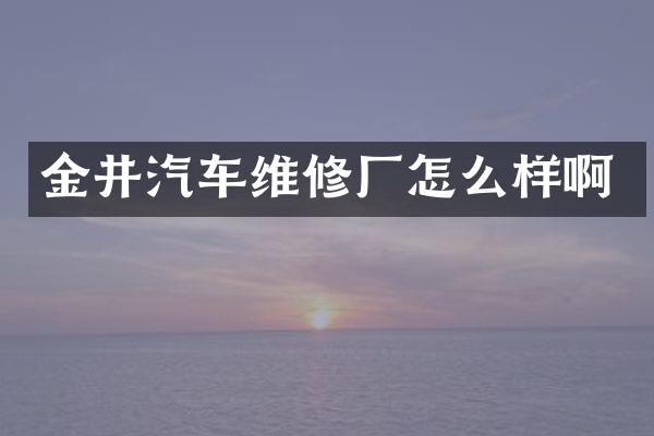 金井汽车维修厂怎么样啊