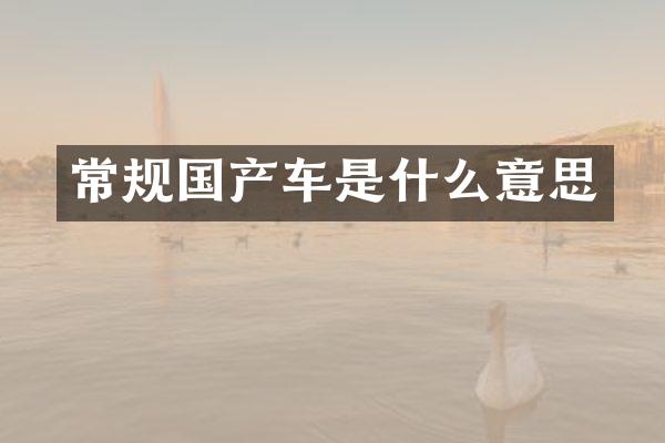 常规国产车是什么意思