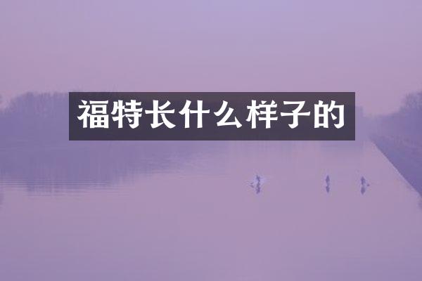福特长什么样子的