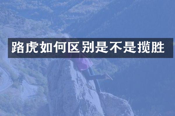 路虎如何区别是不是揽胜