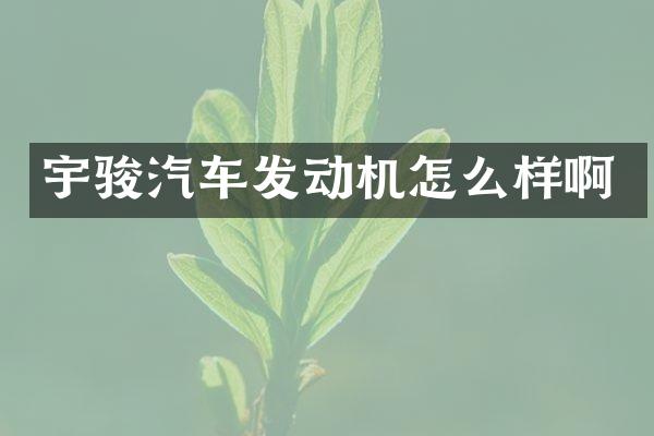 宇骏汽车发动机怎么样啊