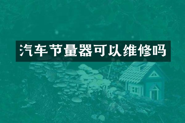 汽车节量器可以维修吗