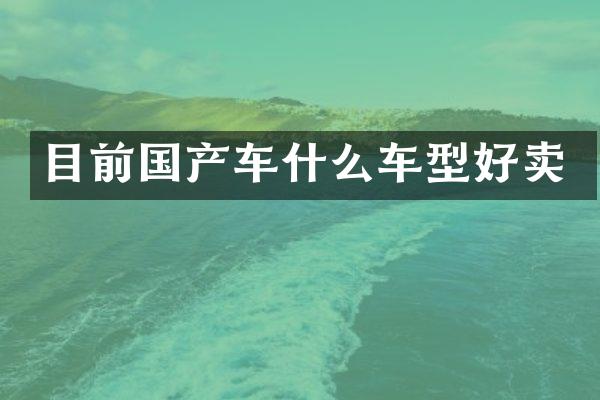目前国产车什么车型好卖