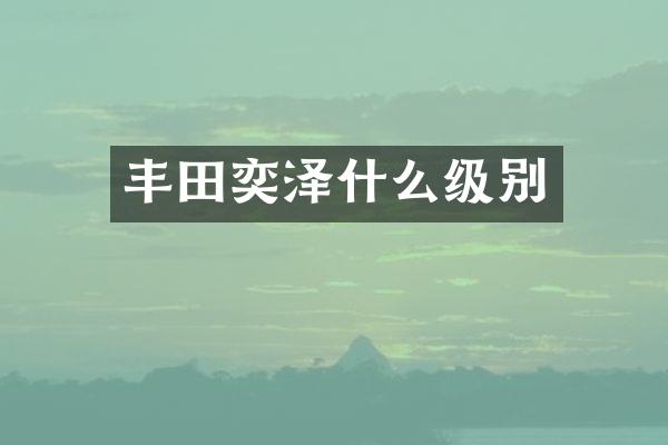 丰田奕泽什么级别