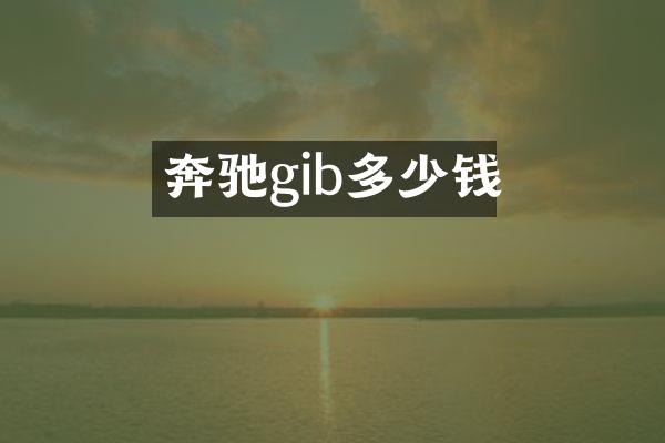奔驰gib多少钱