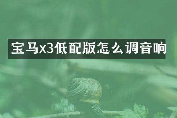 宝马x3低配版怎么调音响