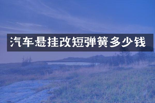 汽车悬挂改短弹簧多少钱
