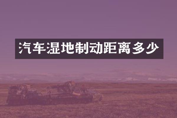 汽车湿地制动距离多少