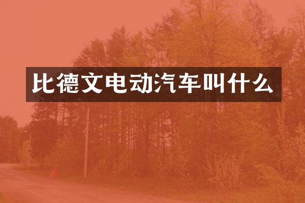 比德文电动汽车叫什么