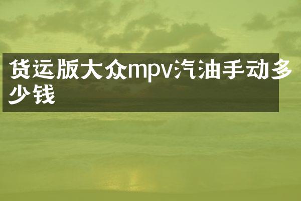 货运版大众mpv汽油手动多少钱