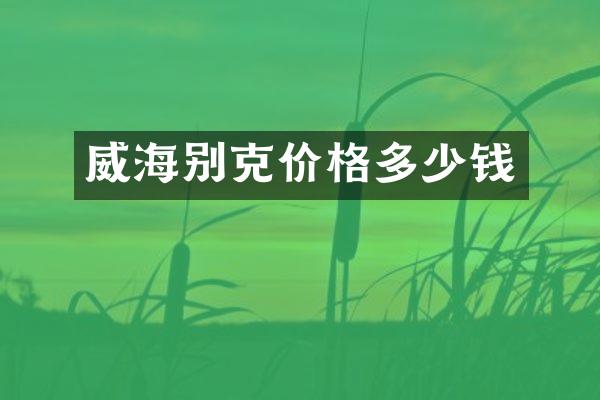威海别克价格多少钱